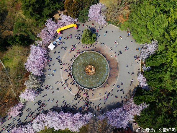 樱花项链