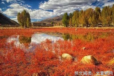 九月光阴
