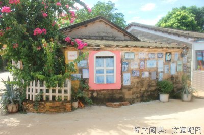 路过的仙人掌