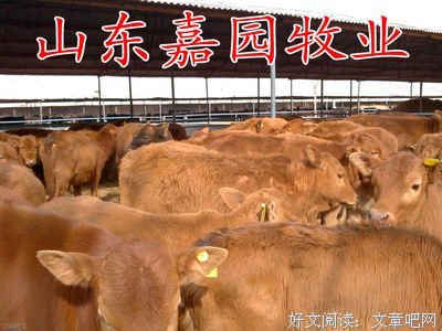 来着是客