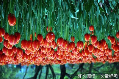 自白记