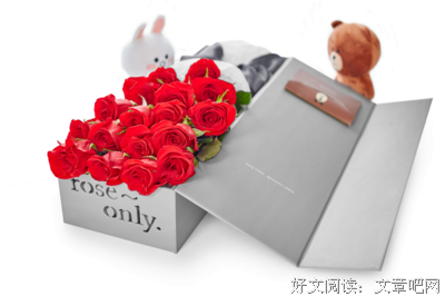 熊和玫瑰花