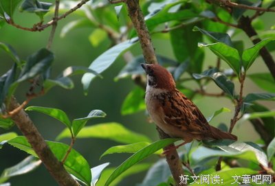离奇爱情
