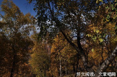十月记