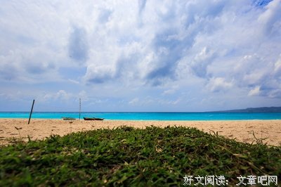 椰林摇曳