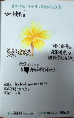 语桐