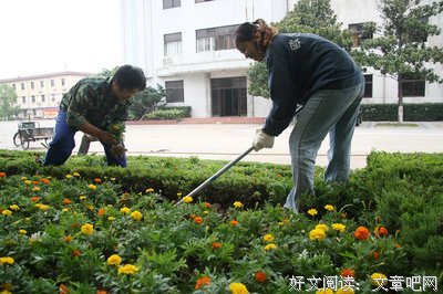 中国矿业大学 美化校园，小草青青——信控学院18级10班开展主题志