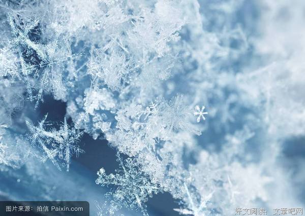 幻之雪