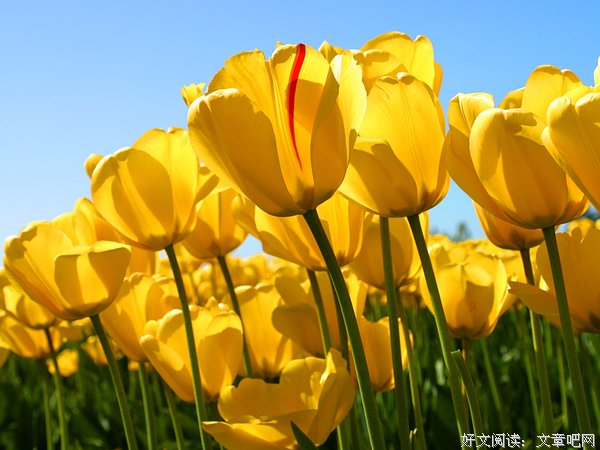 小说《班里永远少个人》推理悬疑