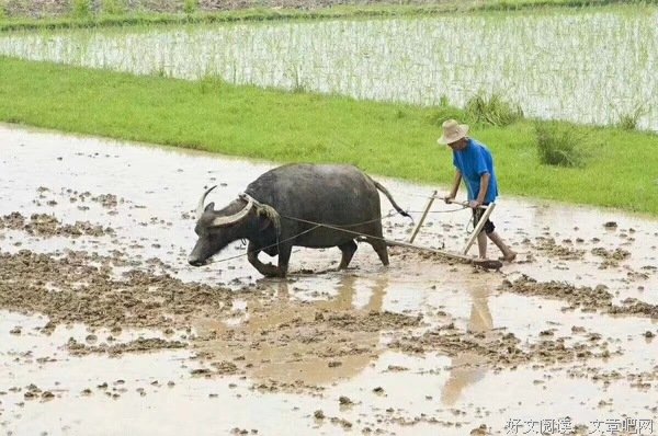 春耕