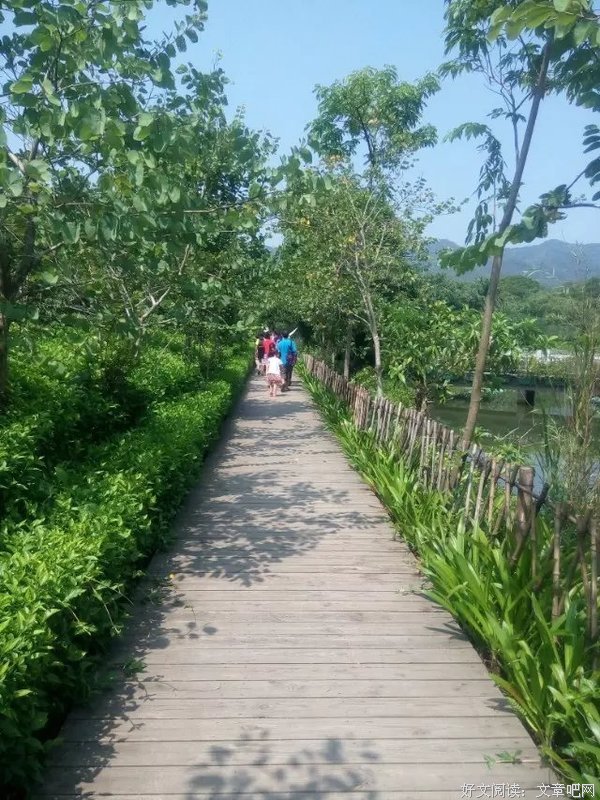 快乐每一天