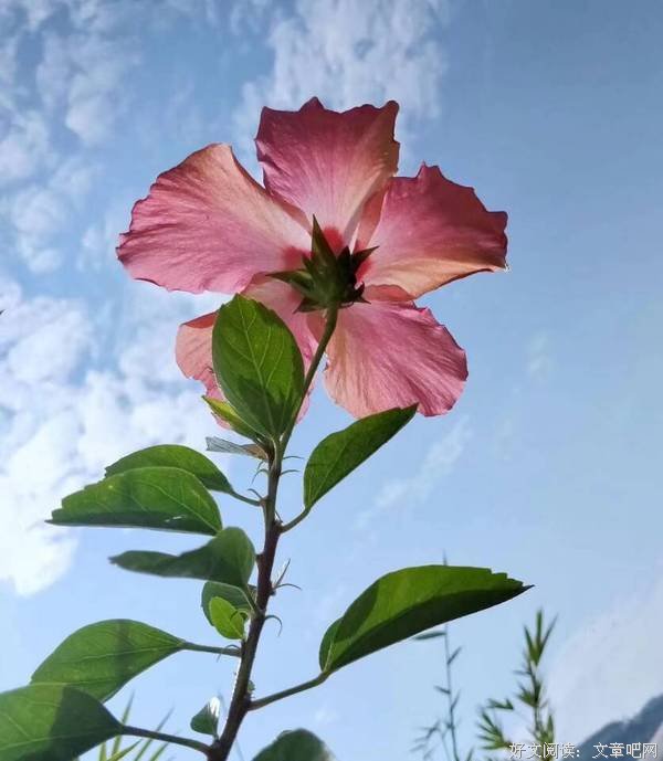 理解爱