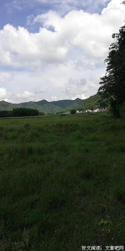 那年夏天，因祸得福，受益匪浅
