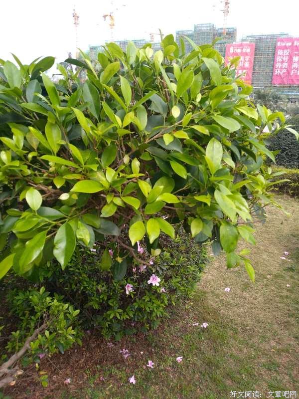 珍惜当下