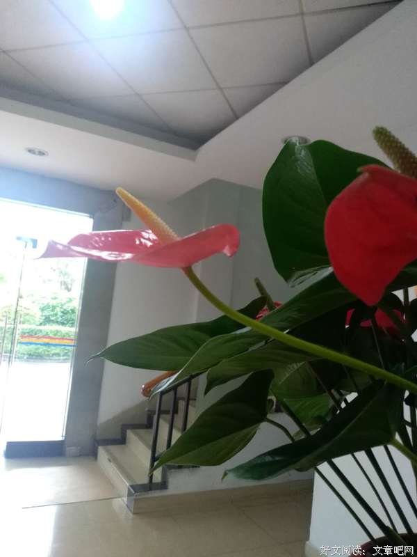 痴痴为你等待
