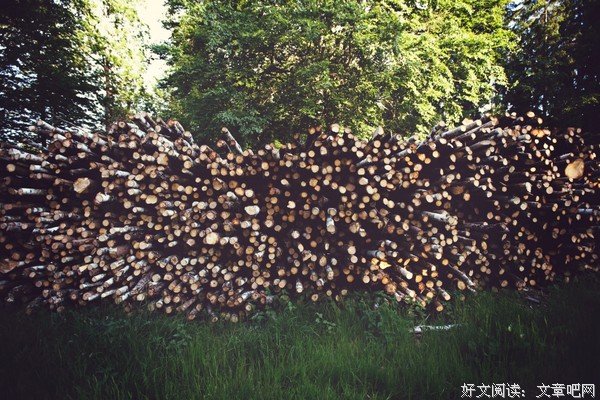 快乐的一天是一天