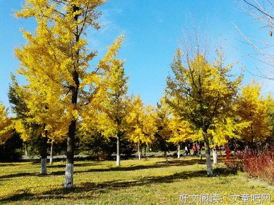 那份爱，从未走远