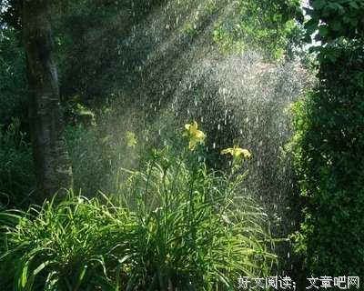 我走在雨滴之间（二）