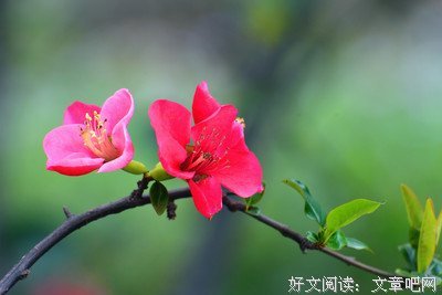寻找你自己的幸福之路