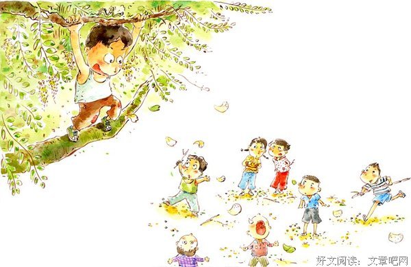 一个生活的故事
