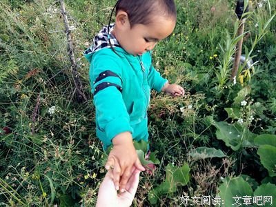 《总之就是非常可爱》台词摘句
