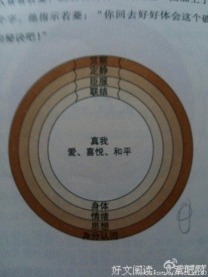 《魂环》摘抄
