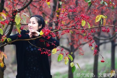海棠树下