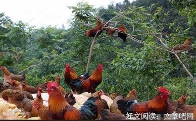 说打工