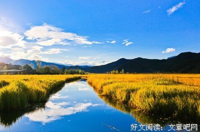 高考英语作文：解决方法作文题型万 能句子