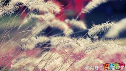 精选高二英语作文范文：Dragon Boat Festival