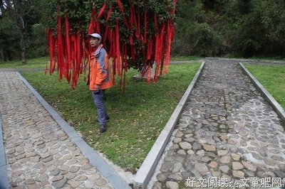龙虎和开心斗