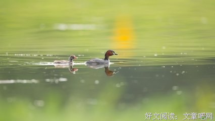 生活记实