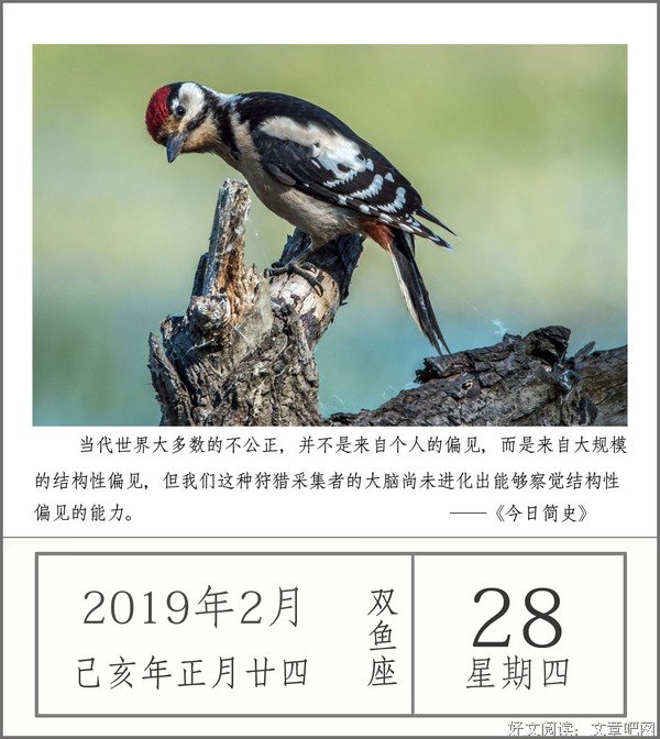 眼界