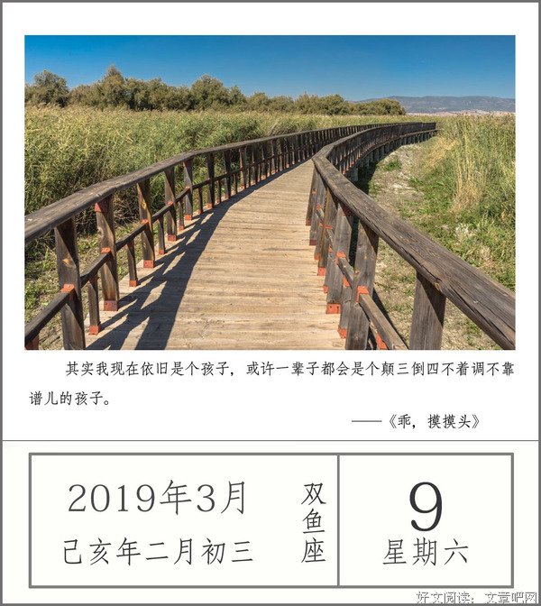 偶然，必然