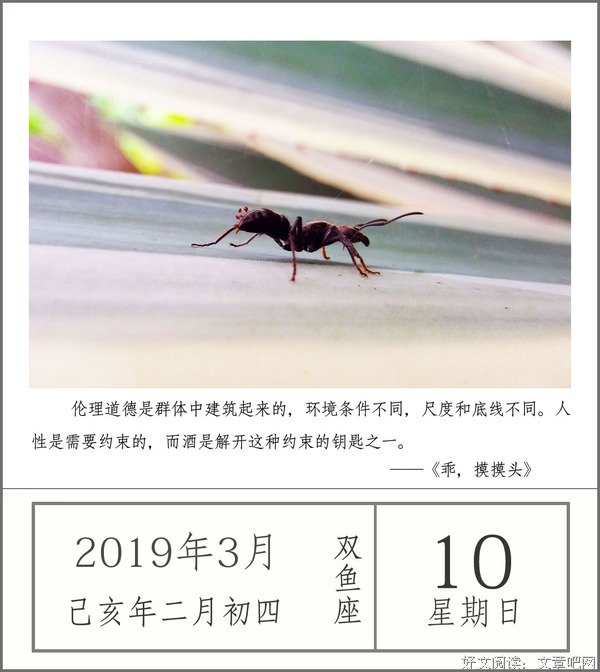 家长里短