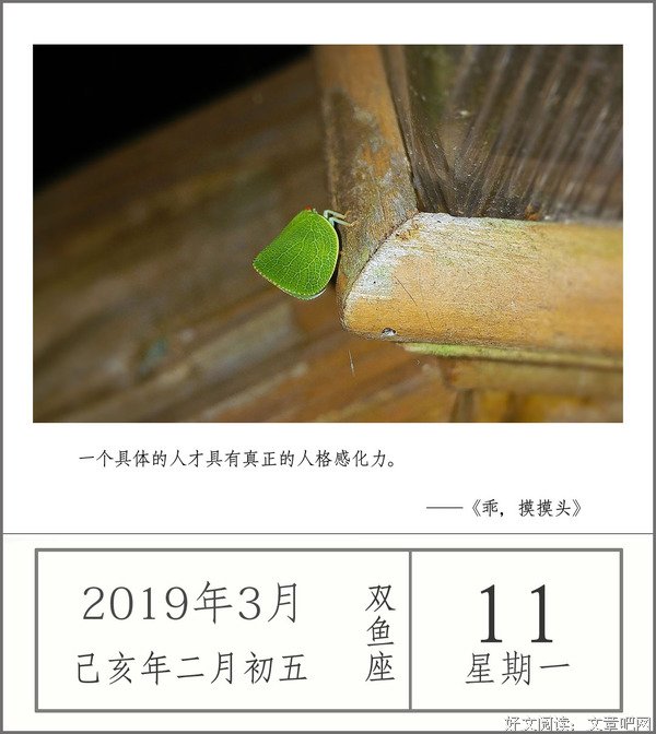 只有活出自己，才能照亮别人