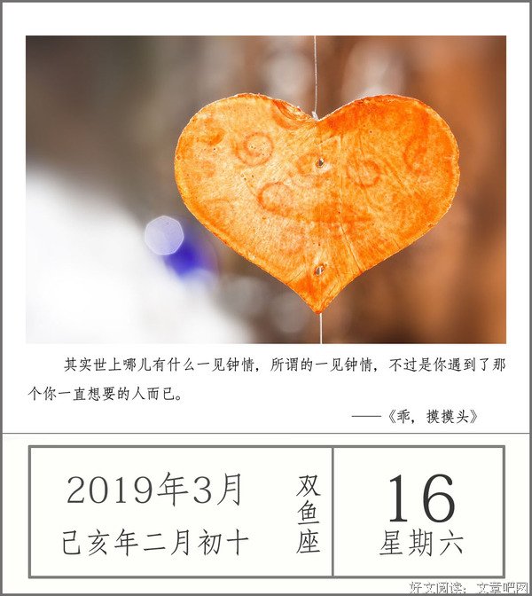 现实的爱情