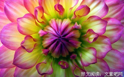 最美遇见