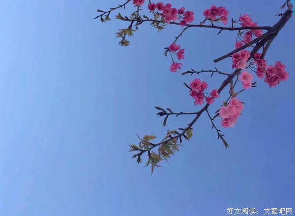 平平淡淡才是真