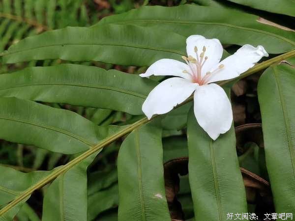 错过了，就再也找不回。