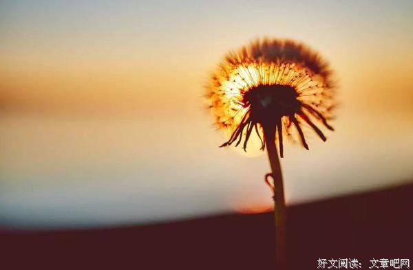 认清一个人，四点就够了