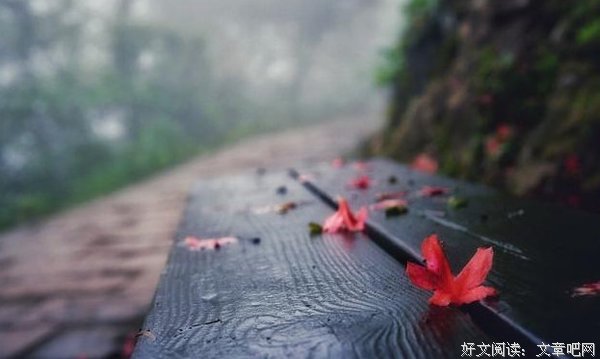 人活着，不能耍心眼！句句在理！
