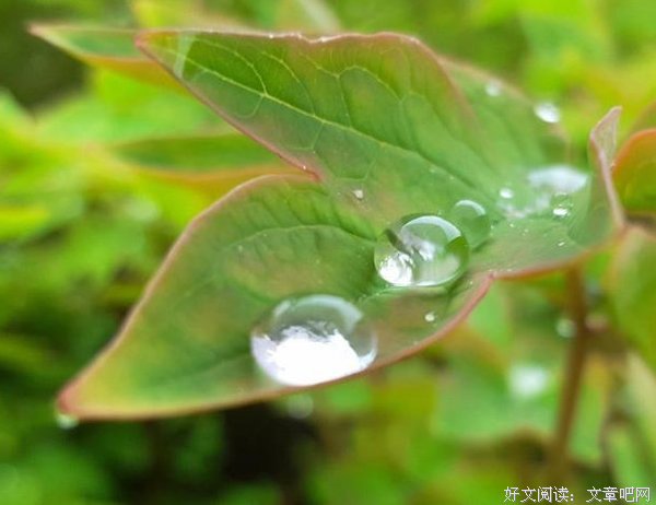 我是善良，可我也不傻！我相信：好人会有好报！