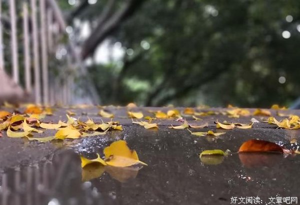 夏至，早安！愿我们生活随心，最美的祝福送给大家！