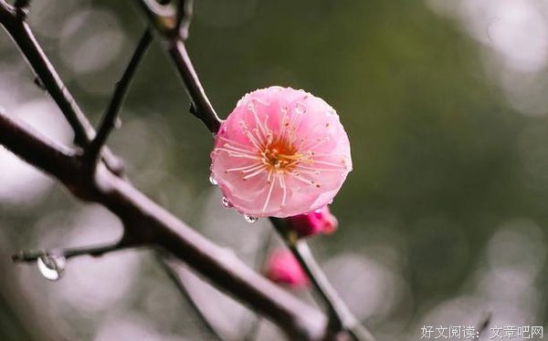 为人处世：话，不需要很多，暖心最重要！