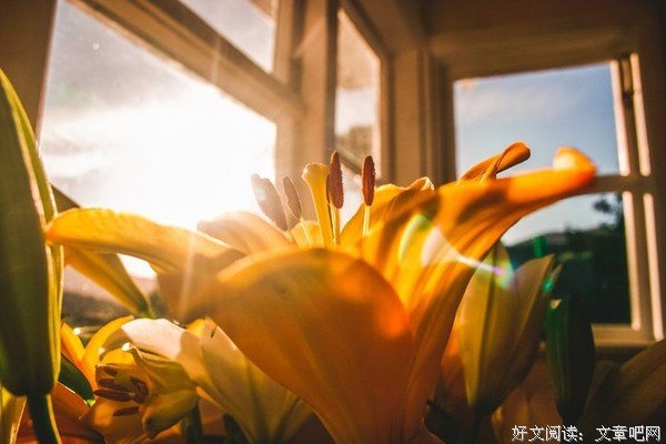 宁可等待到对的人