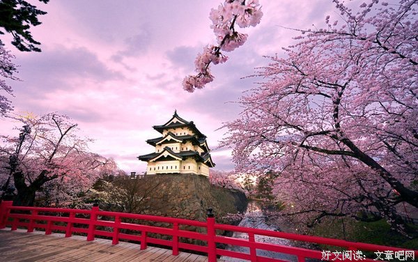日本樱花经济：花期虽短，却价值千亿