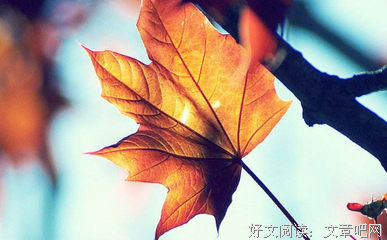  19年从来没跳过槽的人现在怎么样了