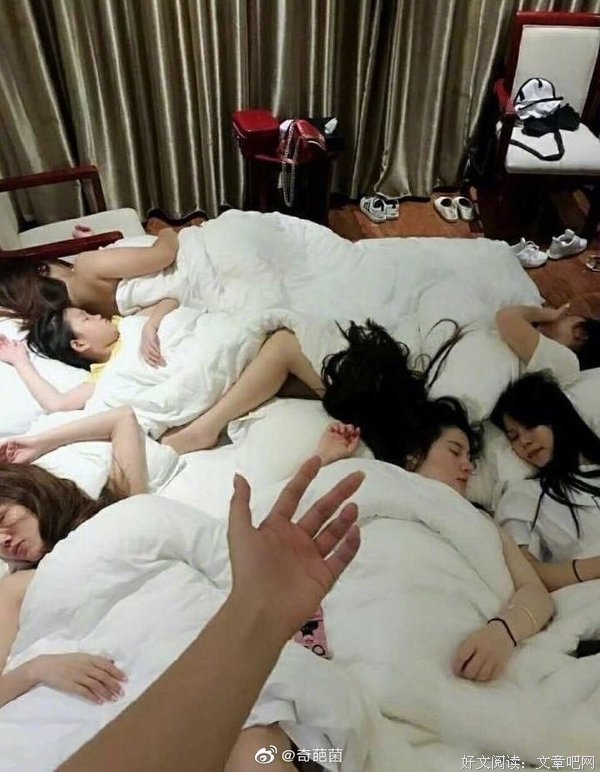 我读东坡诗词