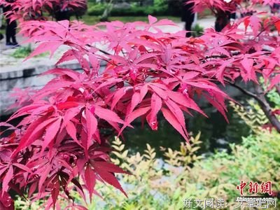  原】中国最美的十本书，一生至少读一次